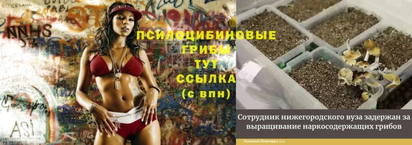 ешки Абаза