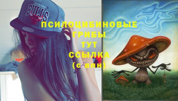 гашик Абинск
