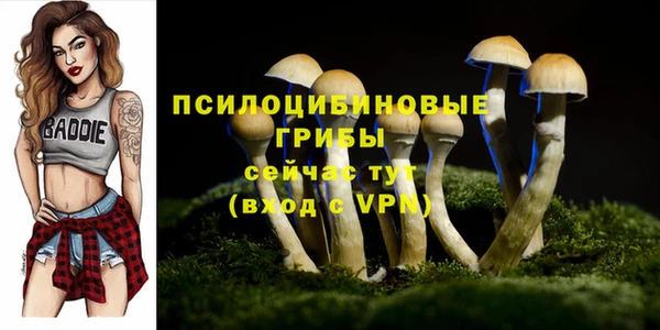ешки Абаза