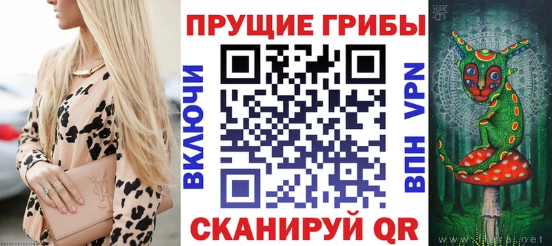 Галлюциногенные грибы Psilocybe  где можно купить   Череповец 