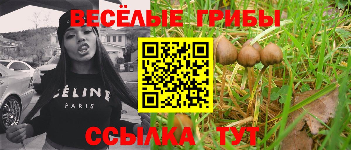 Череповец  Псилоцибиновые грибы MAGIC MUSHROOMS  Вход с VPN 