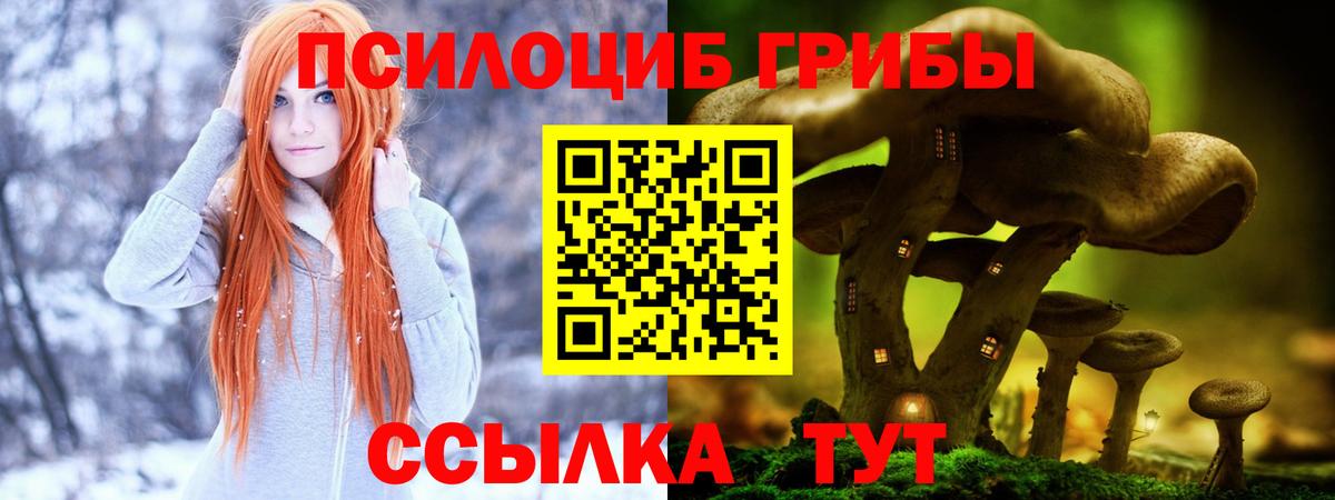 Псилоцибиновые грибы ЛСД Череповец